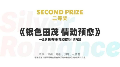 為第一個(gè)銀發(fā)友好城市播下希望的種子——銀色浪漫設(shè)計(jì)競賽頒獎(jiǎng)典禮賽事策劃案